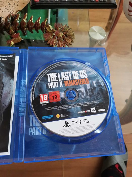 The last of us part 2 remastered PS 5