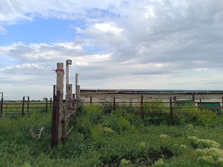 Продам животноводческое хозяйство