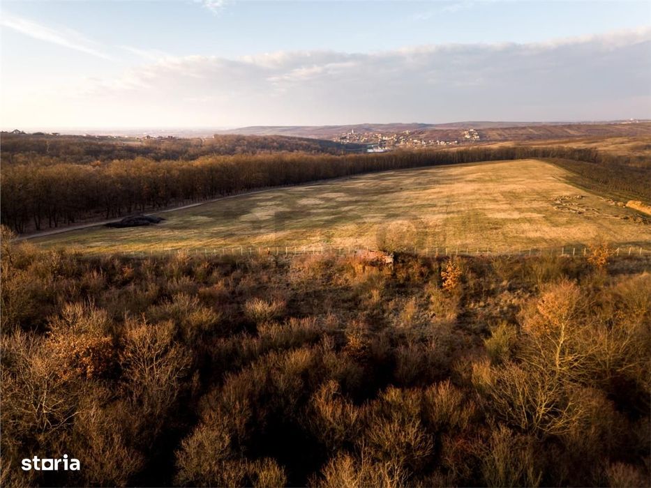 Reco Teren intravilan in Saldabagiu de munte 4333MP