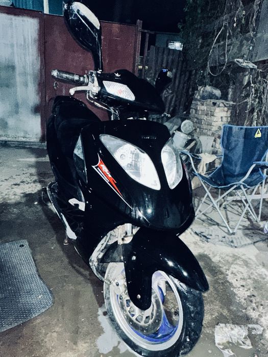 Fiero raton 49