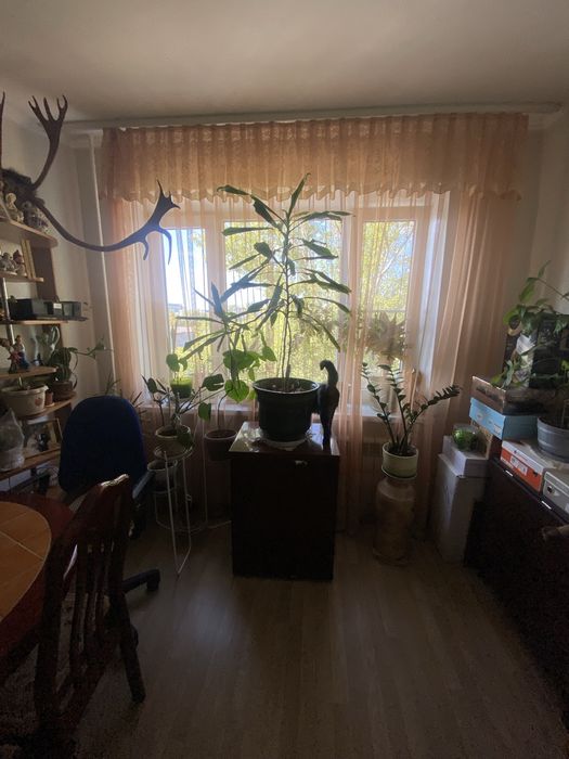 Продам квартиру.