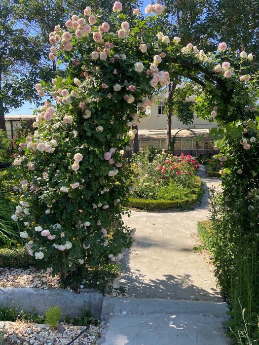 Поездка в Самарканд, в горы. Транспортные услуги. Минивэн, электрокар