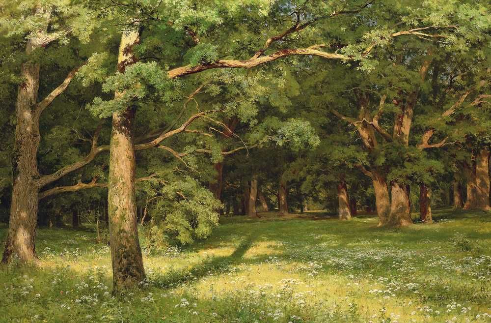 Репродукции на картини Иван Иванович Шишкин (1832 - 1898) Пейзажи