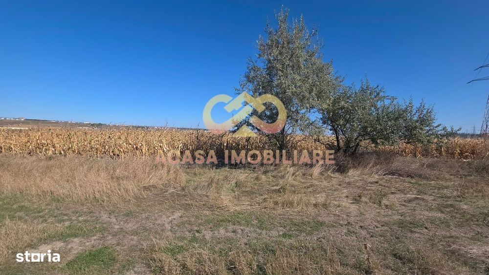 Teren  Intravilan Uricani Miroslava 3000 Mp