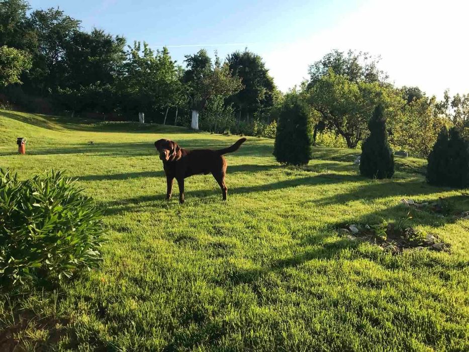 Продава се Къща в с. Българка, Област Силистра - 150 кв.м за 612 €/кв.м - Снимка #3