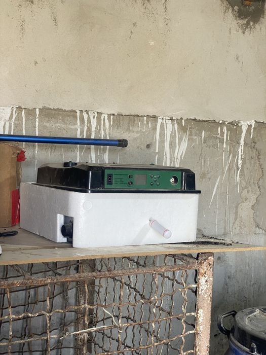 Inkobator 36talik