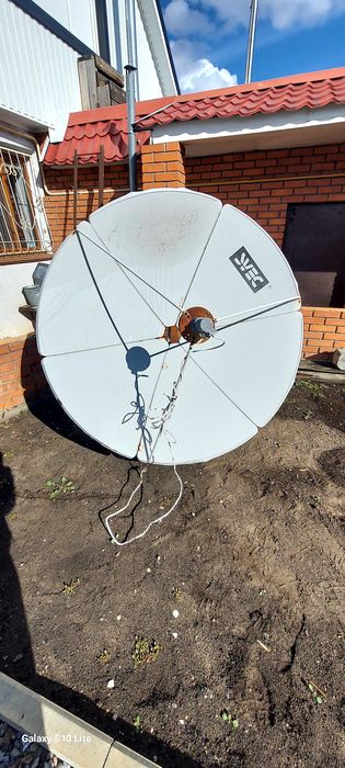 Бесплатно  даром