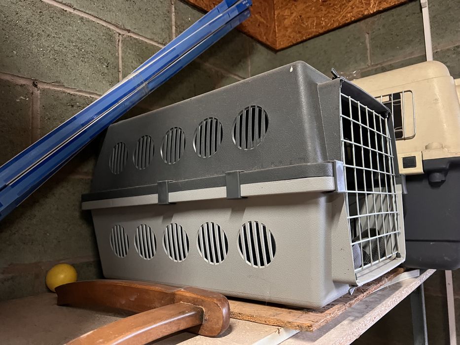 Контейнер для перевозки животных