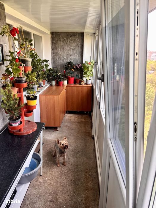 2 camere luminoase + balcon generos. Berceni – Aliorului