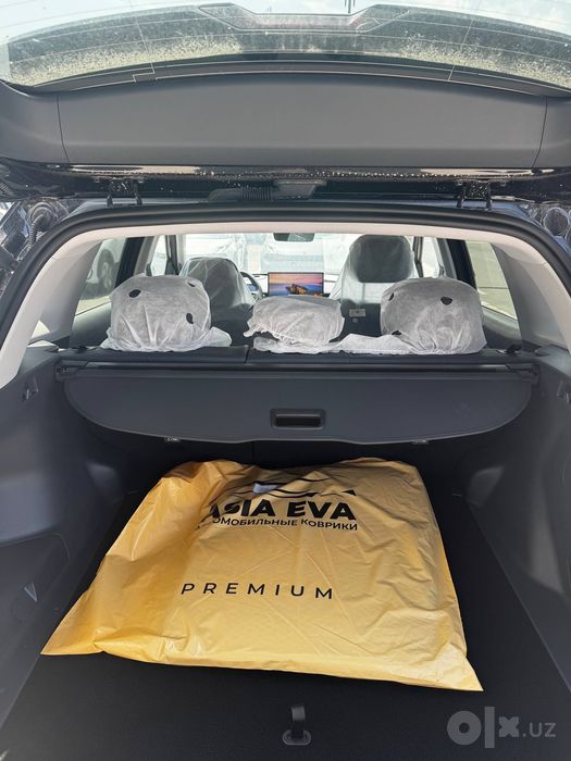 Geely ex5 emi max