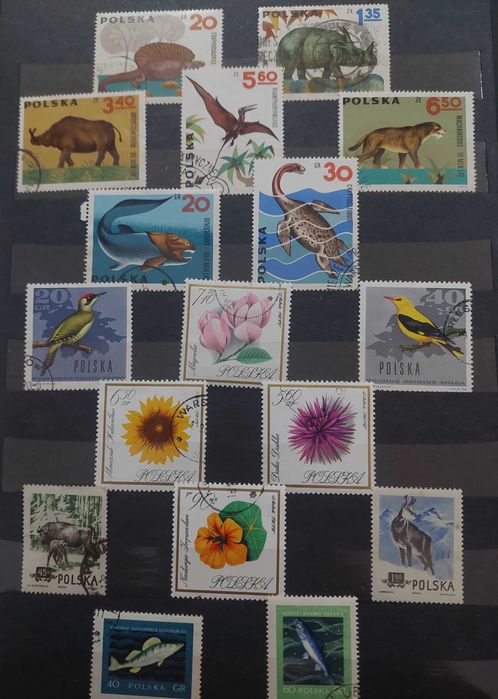 Timbre si colite straine fauna