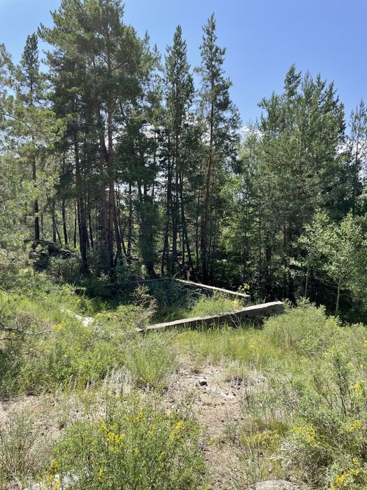 Участок новая Бухтарма