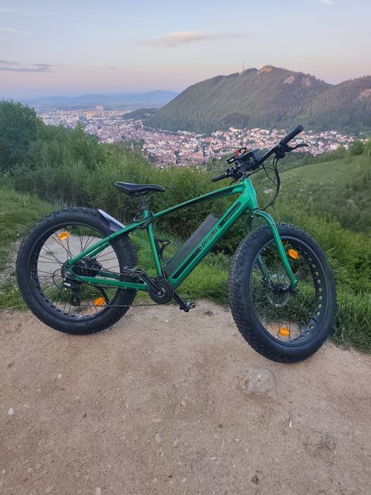 Vând Pegas electric, model deosebit