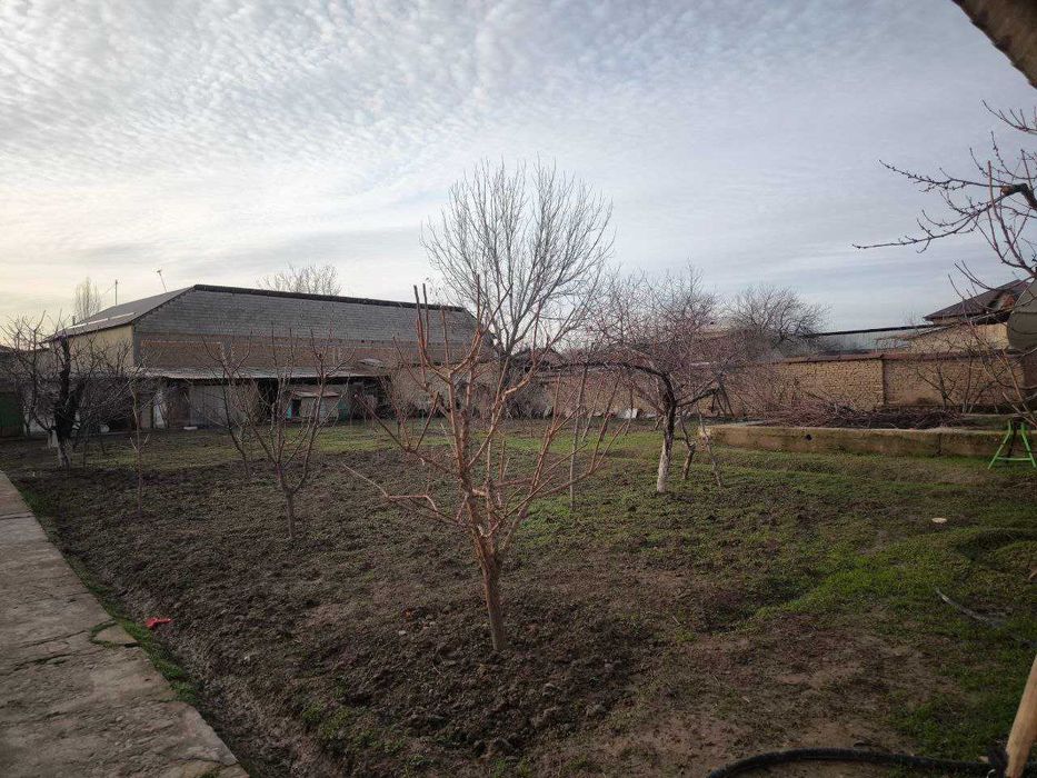 Занги-ота свой участок 14 соток