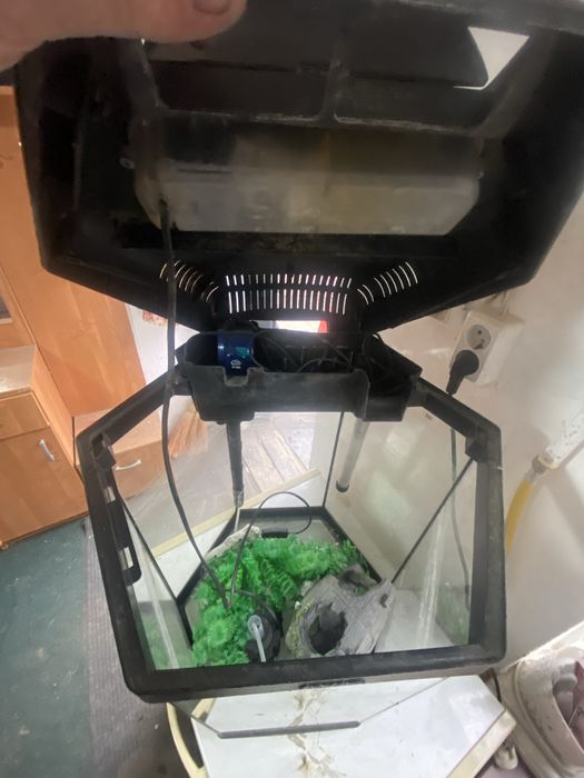 аквариум 50 литров