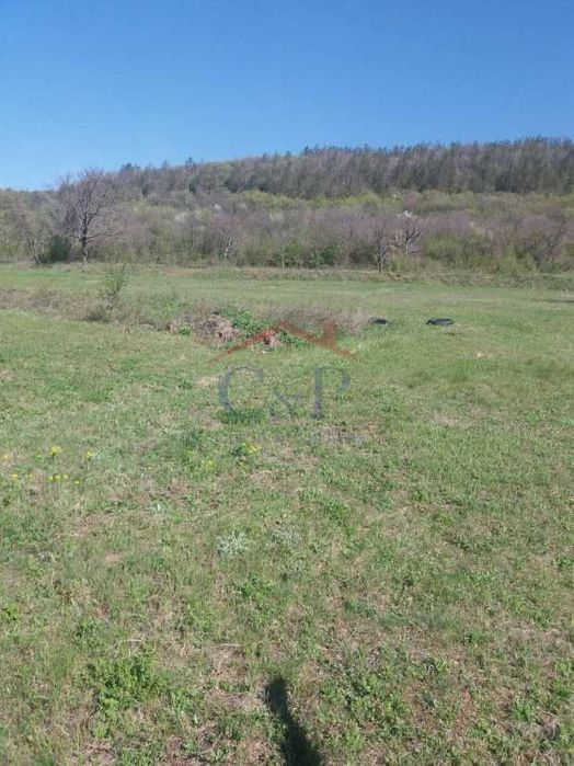 Продава се Парцел в Дебелец - 700 кв.м за 58 €/кв.м - Снимка #6