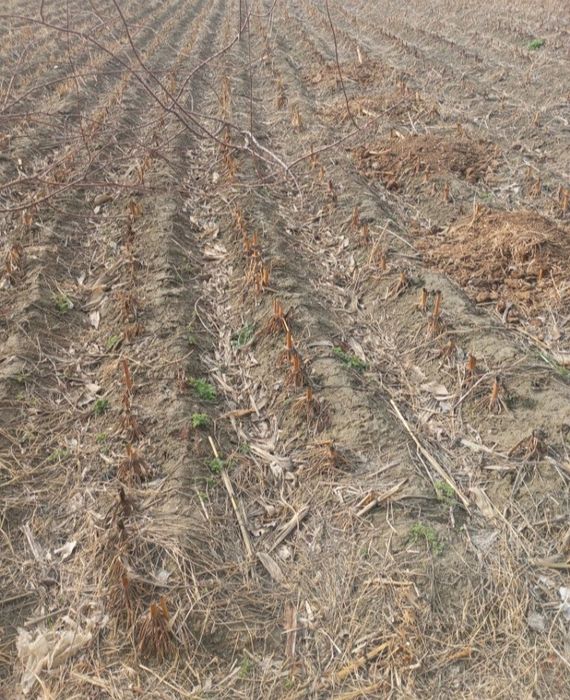 Тайёр ер участка 2 500