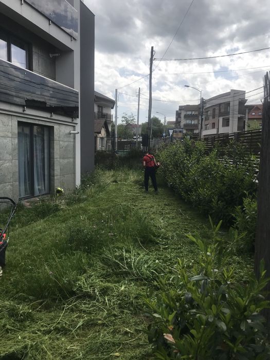 Tund iarba, gazon, montat rulouri, insamantat gazon, defrisari,