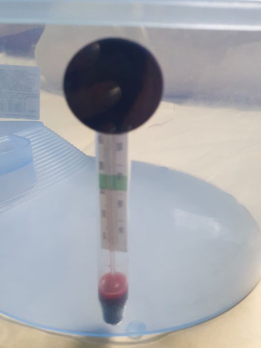 Bol pentru broscuțe cu termometru