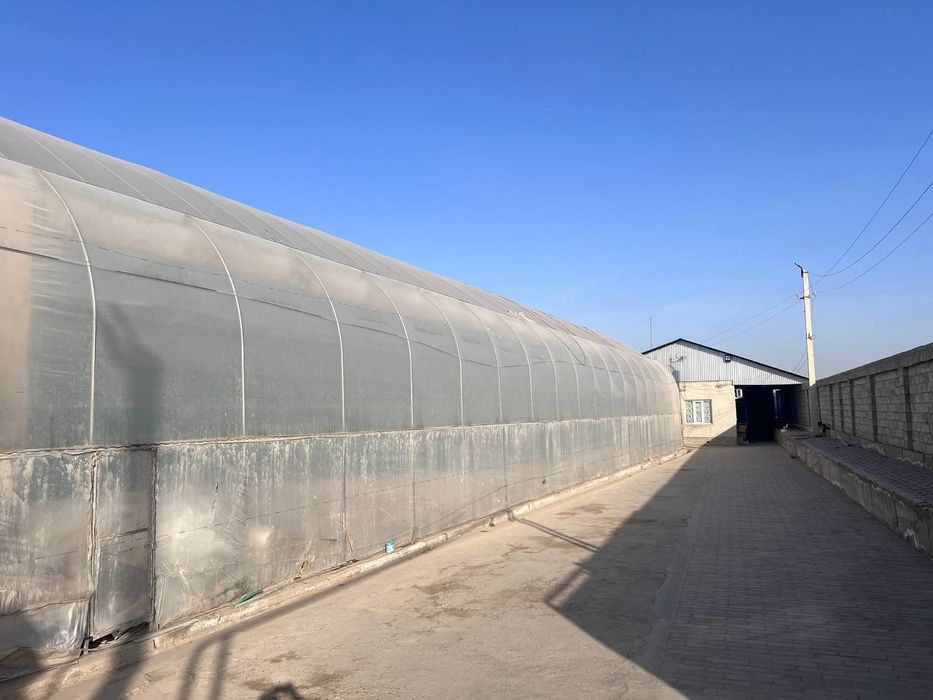 Buxoro shaxridan tayyor ishlab turgan issiqxona binosi  sotiladi