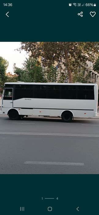 Автобус на заказ мияхкий 25 место