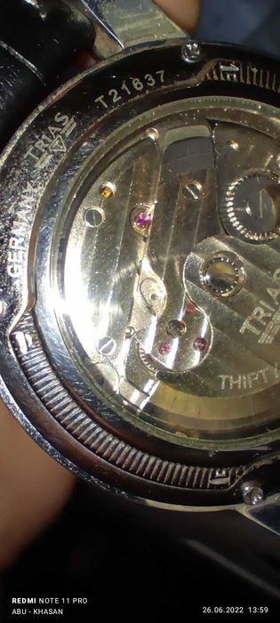 Trias watch - США ( штат Мичиган )