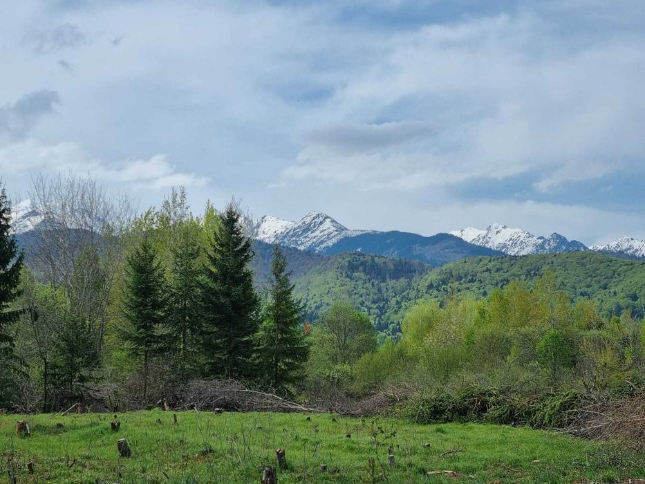 Teren în zona turistică Sâmbăta de Sus | PUZ aprobat + proiect DTAC