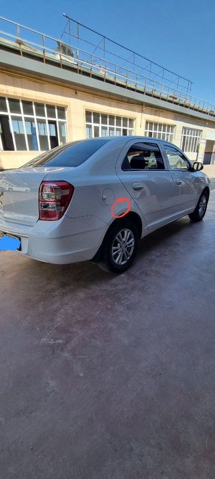 Cobalt 2022 4 pazitsa