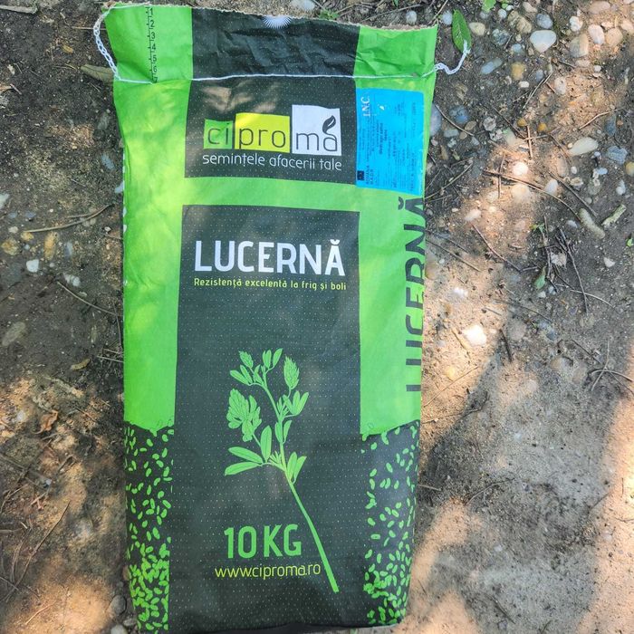 Samanta LUCERNA ecologica
