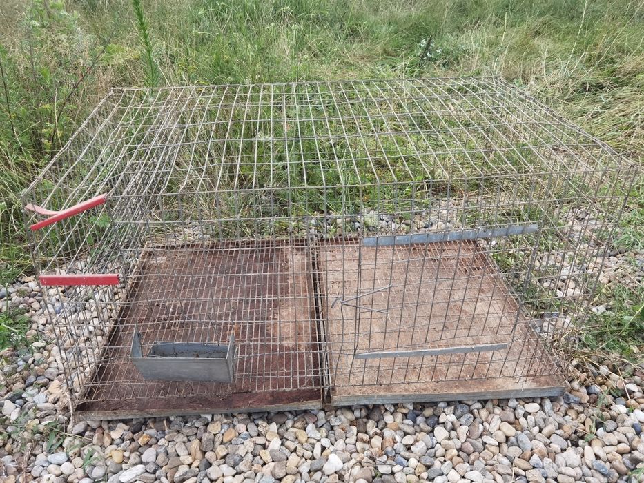 Cușcă iepuri, 4 buc 100x60x50