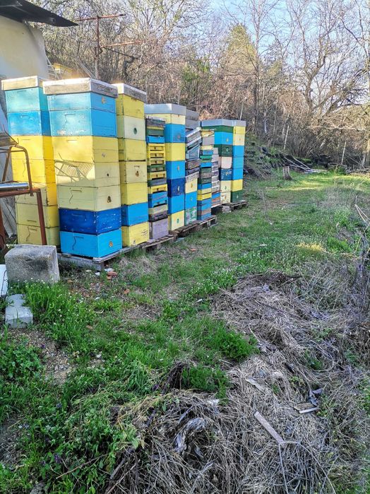 Пчелни  многокорпусни кошери