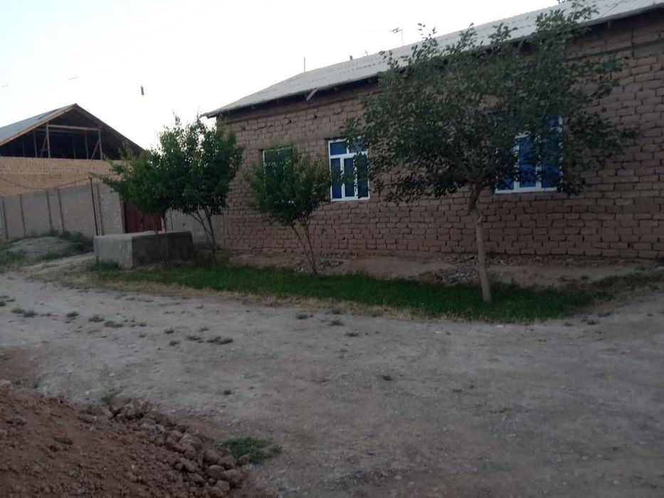 Xovli sotiladi xolati yaxshi