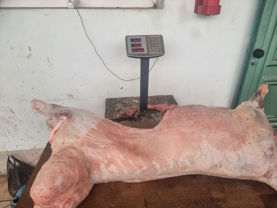 Ақиқа ва маросимлар учун хохлаган вазндаги тирик қўйлар олиб бориб сўй