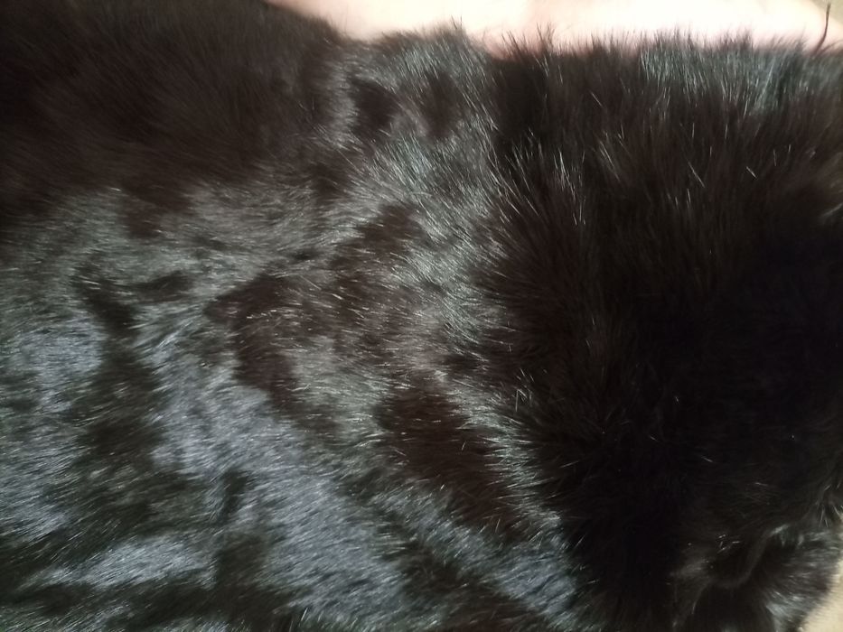 Шкурка кролика !