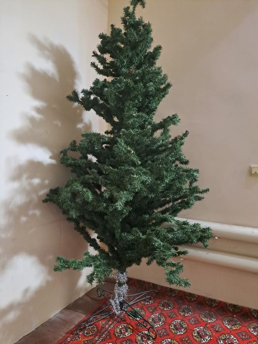 Archa sotiladi yangi yil