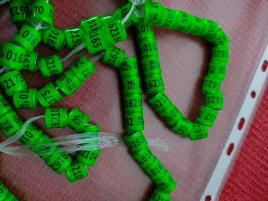 Inele porumbei străine 2025 8mm