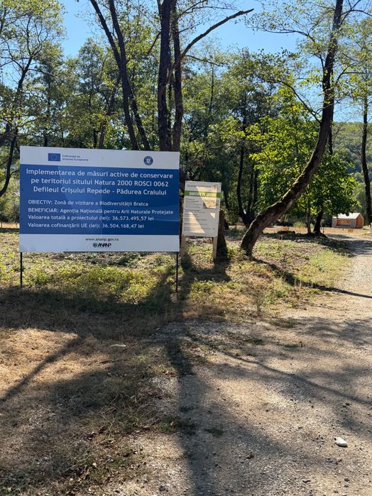 Vânzare casă la munte