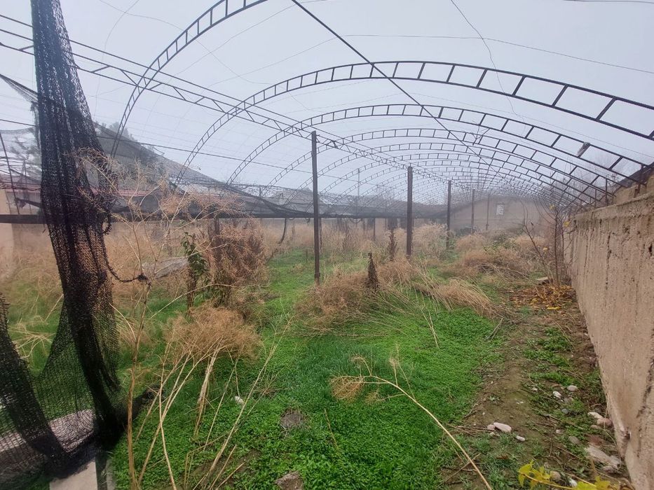 Yangi Oʻzbekistonda yer sotiladi