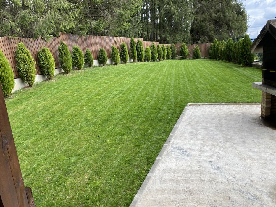 Vila de inchiriat/ Casa de inchiriat / Cazare