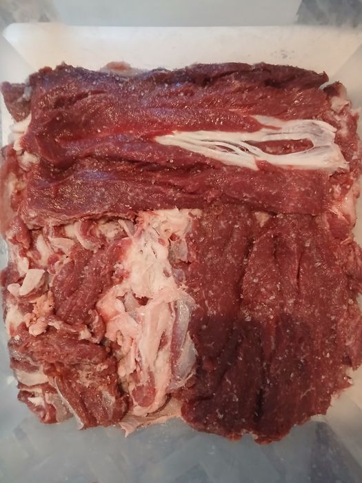 Vand berbecut lacaune