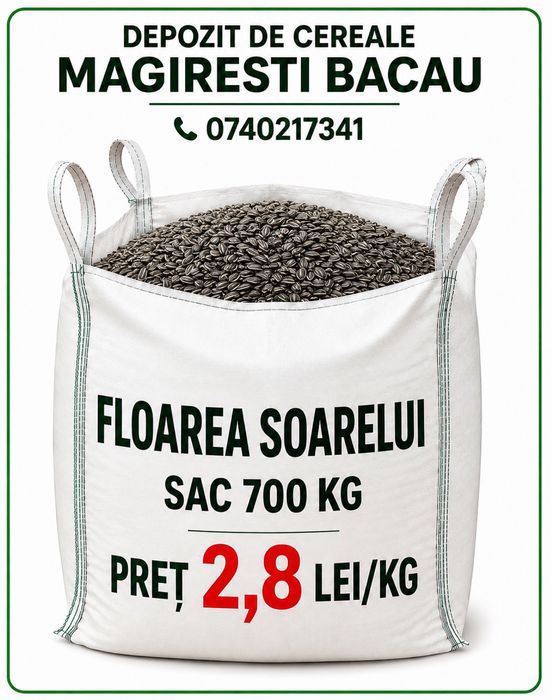 Porumb grau mazare floare