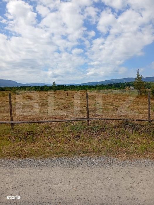 Vanzare teren intravilan, 3850 mp, Panaci