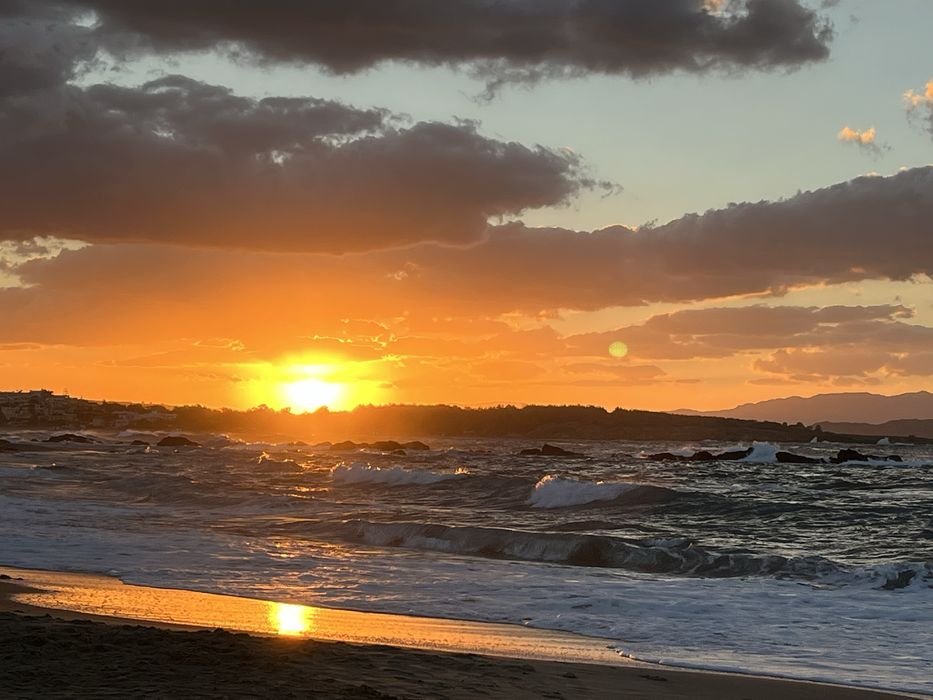 Masaj terapeutic profesional