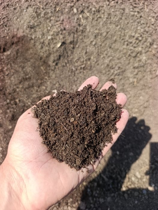 Biogomus 50 kloloi qopda 65000 so'm dastafka bor