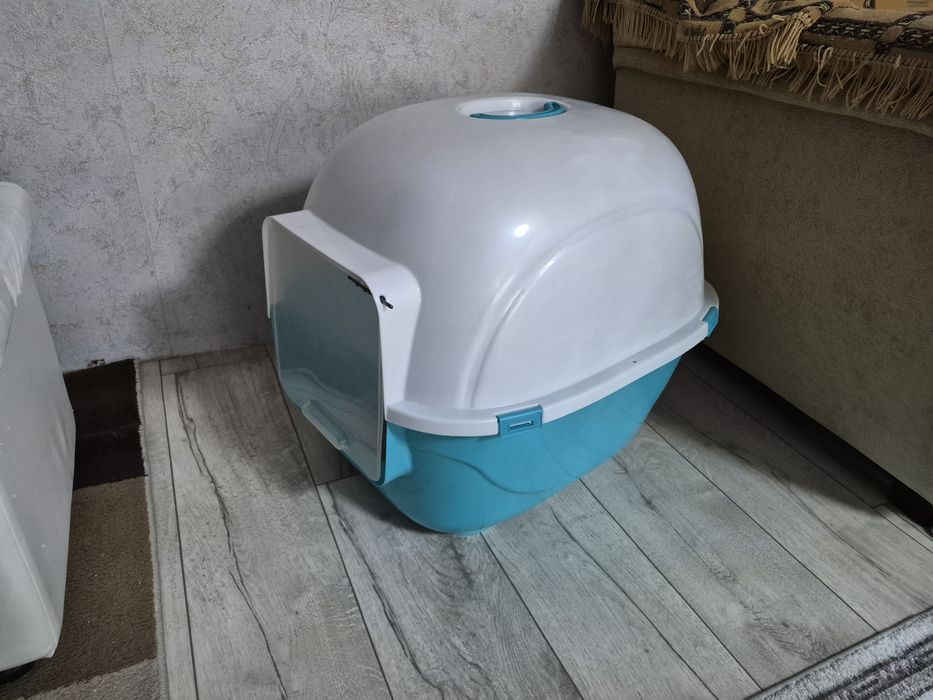 Отдам кота в добрые руки
