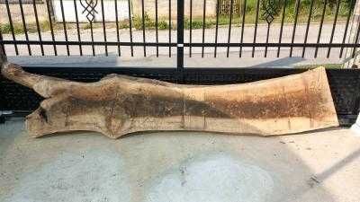 Орехови янове 6 см