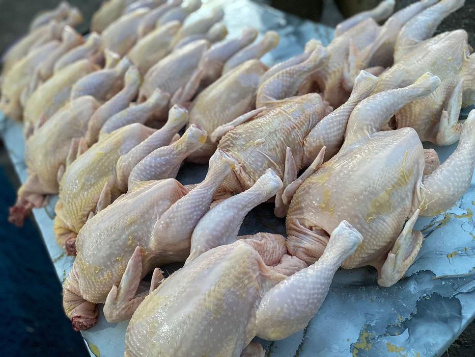 Домашняя курочка