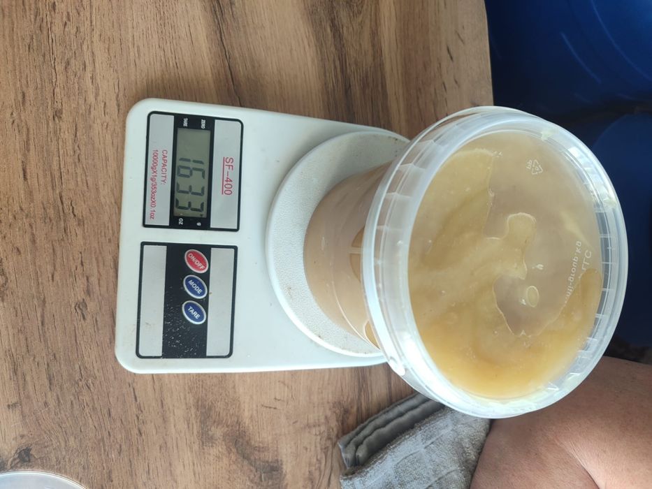 Продам мед этого года