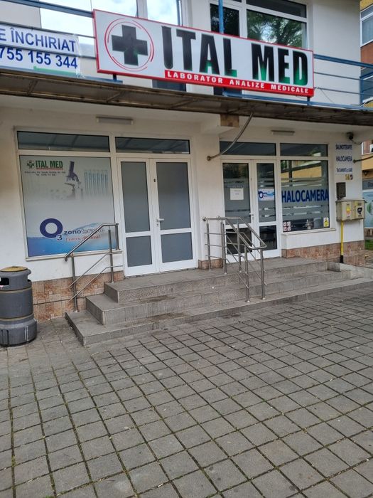 Spațiu de inchiriat Goldis