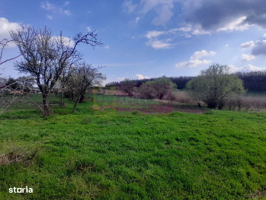 De Vanzare Teren 3400 Mp In Sat Podu Ilfovat / Com Buturugeni (Gr)